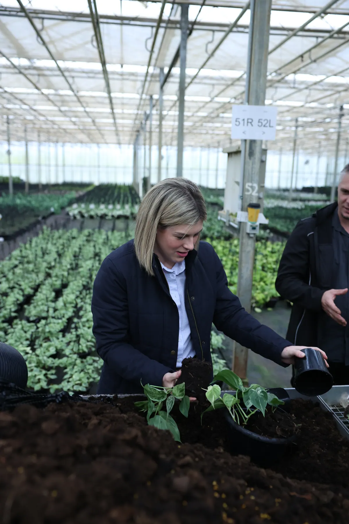 Jess Wilson planting seedlings inside a commercial greenhouse